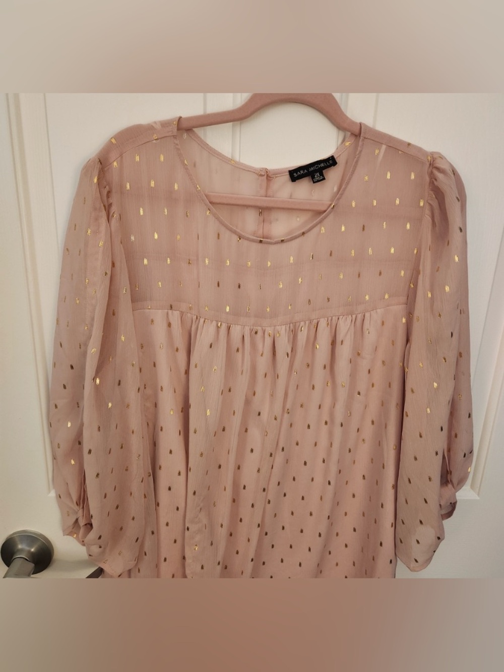 GAP Blush Pink Sheer Blouse with Gold Foil Details